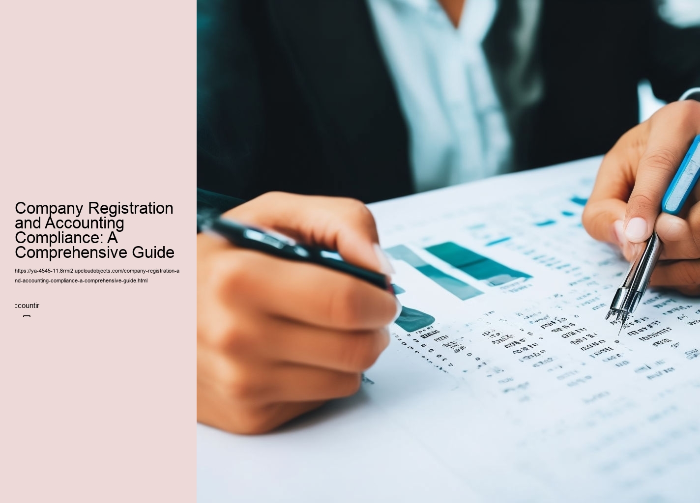 Company Registration and Accounting Compliance: A Comprehensive Guide