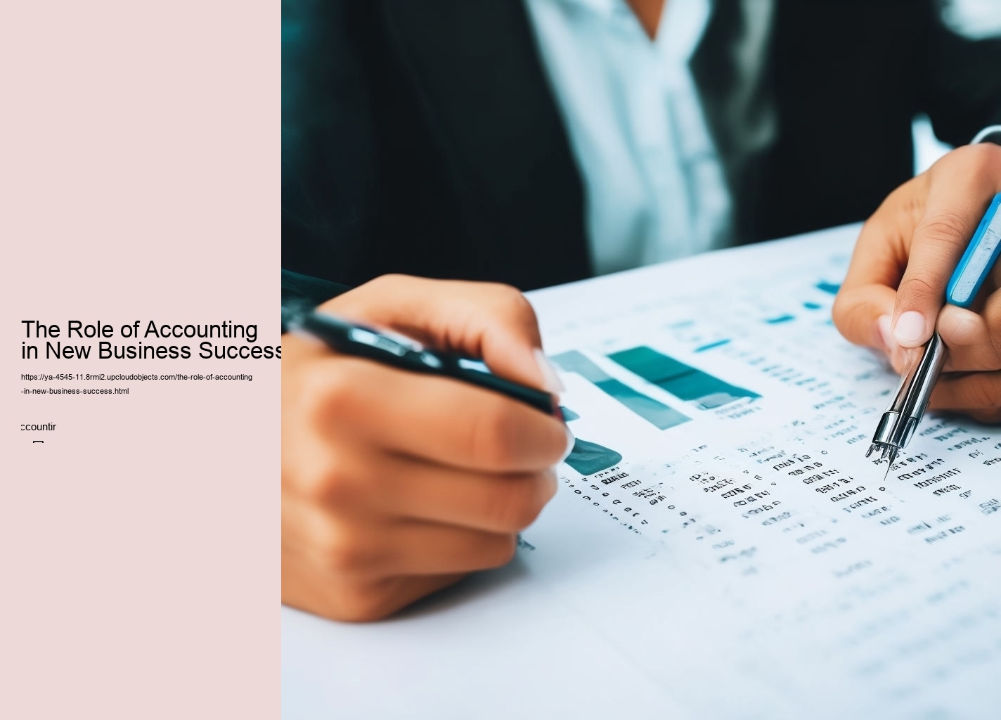 The Role of Accounting in New Business Success